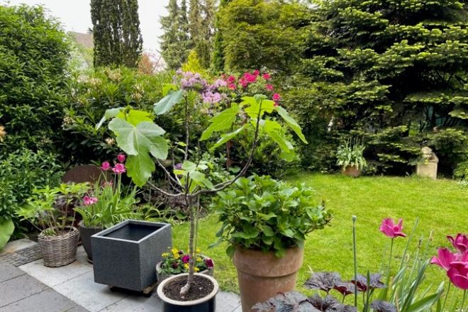 Großzügiges Einfamilienhaus mit neuester Heiztechnik direkt am Naturschutzgebiet!